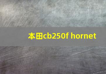 本田cb250f hornet